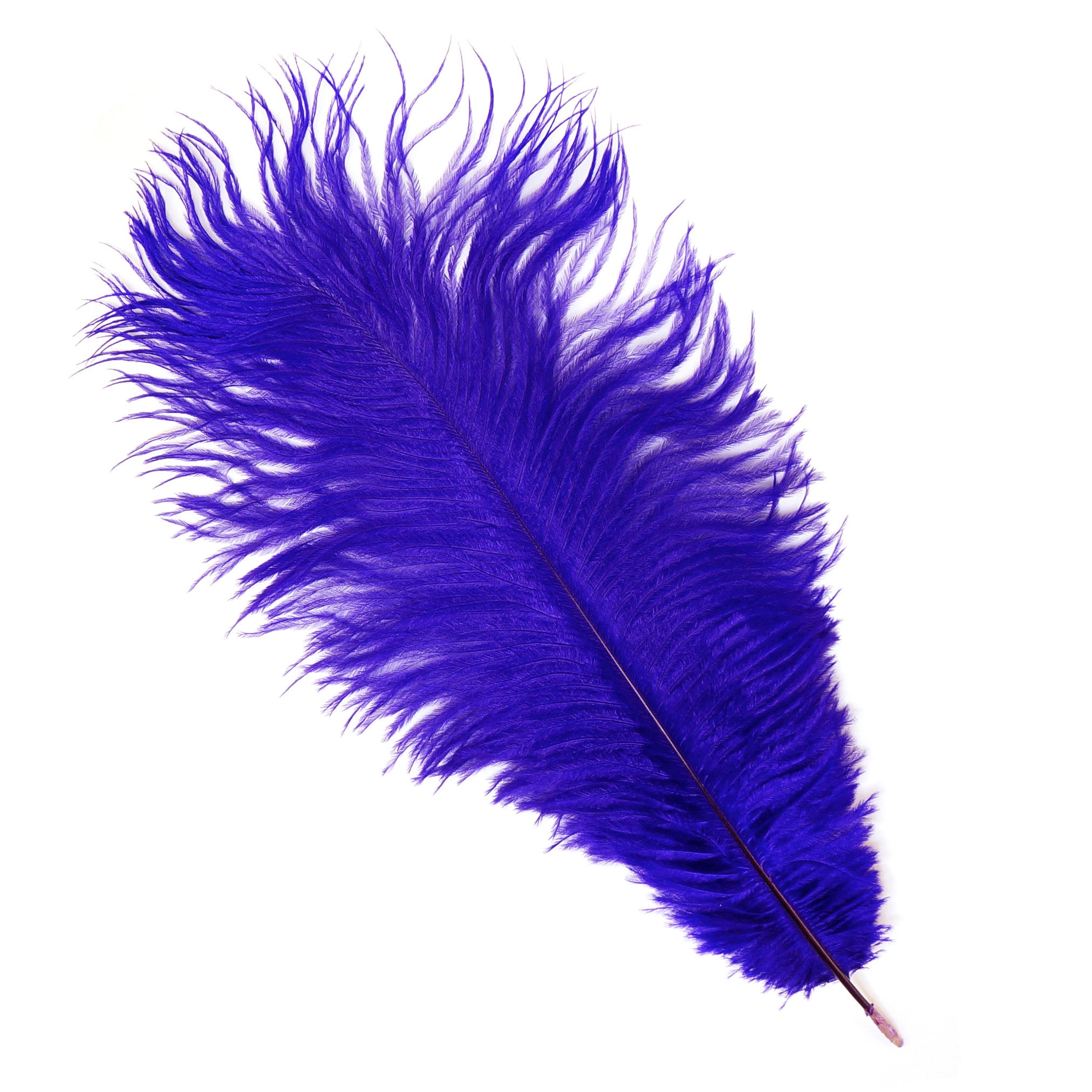 Ostrich Feathers 13-16 REGAL Dark Purple for Feather - Etsy