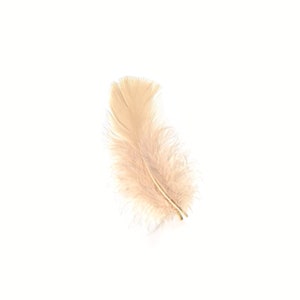 Turkey Feathers, Eggshell Loose Turkey Plumage Feathers, Short T-Base Body Feathers for Craft and Fly Fishing Supply ZUCKER®
