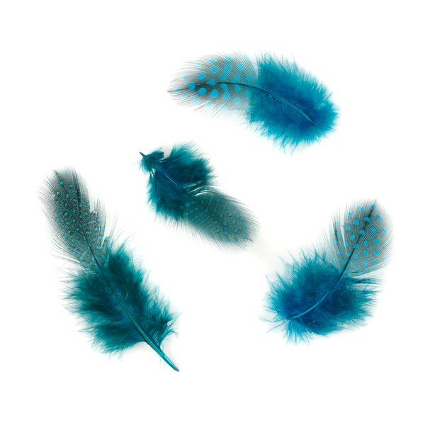 Guinea Feathers, Dyed Dark Turquoise 1-4” Guinea Hen Polka Dot Loose Plumage Feathers & Craft Supply ZUCKER®