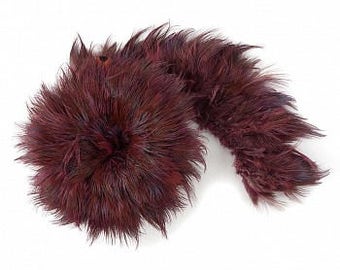 1 YARD RASPBERRY Almond Ringneck Pheasant Plumage - For Millinery, Jewelry Making, Carnival & Cultural Arts Design  ZUCKER®