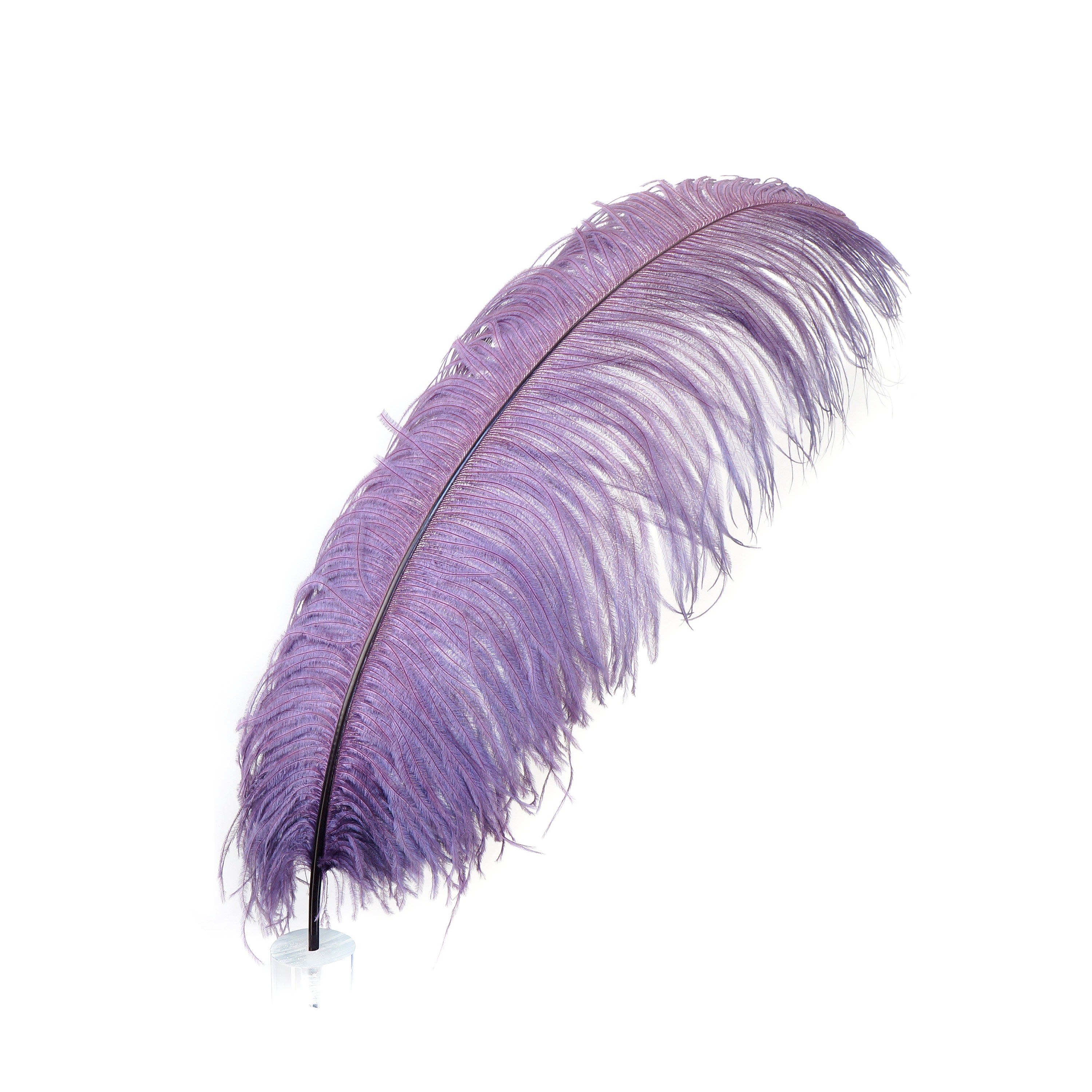 Buy Bulk Ostrich Feathers 4-8 AMETHYST Purple, Mini Ostrich Drabs