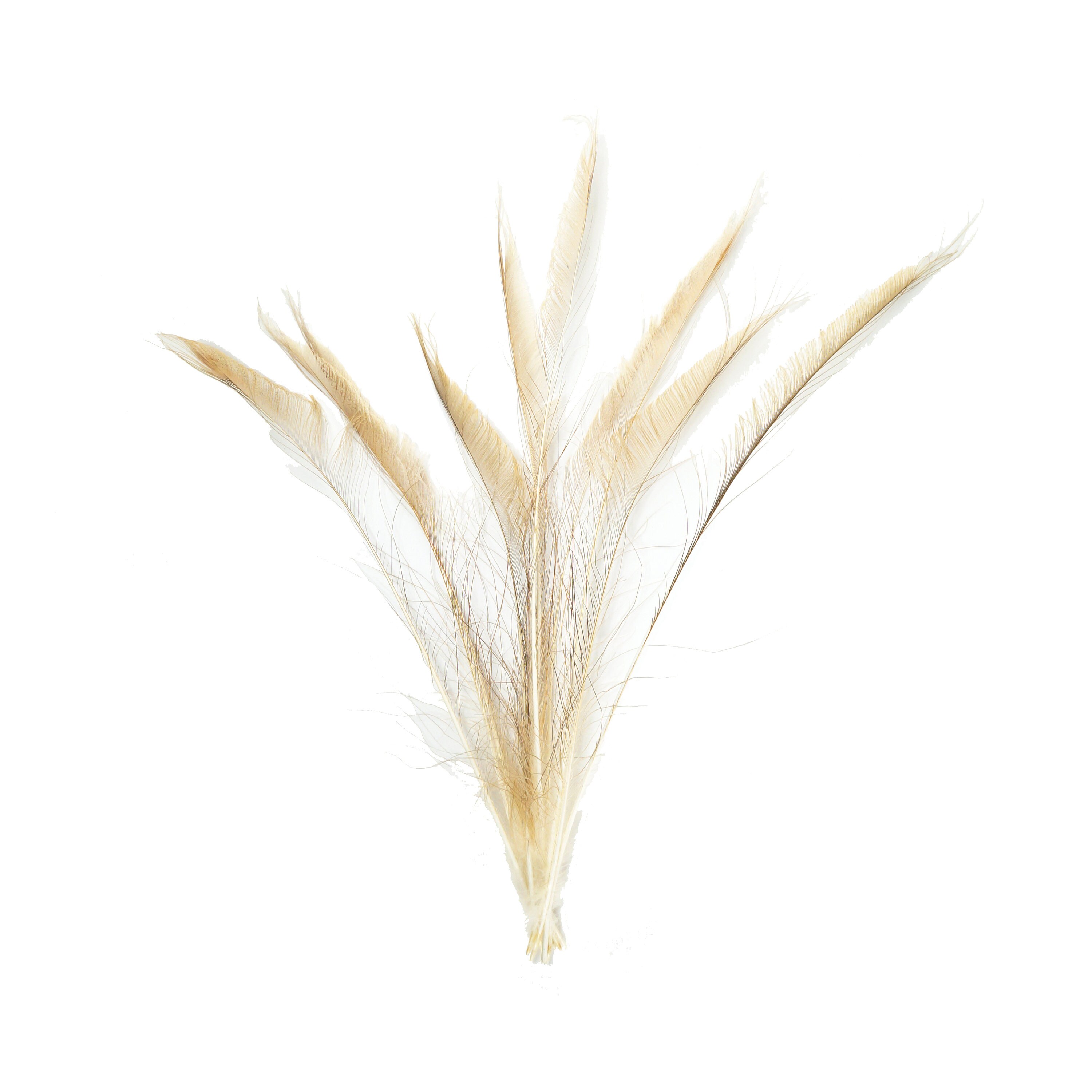 Bleach Dyed Peacock Sword Feathers 10 to 100 Pieces 1525 EGGSHELL, Floral Decor, Millinery