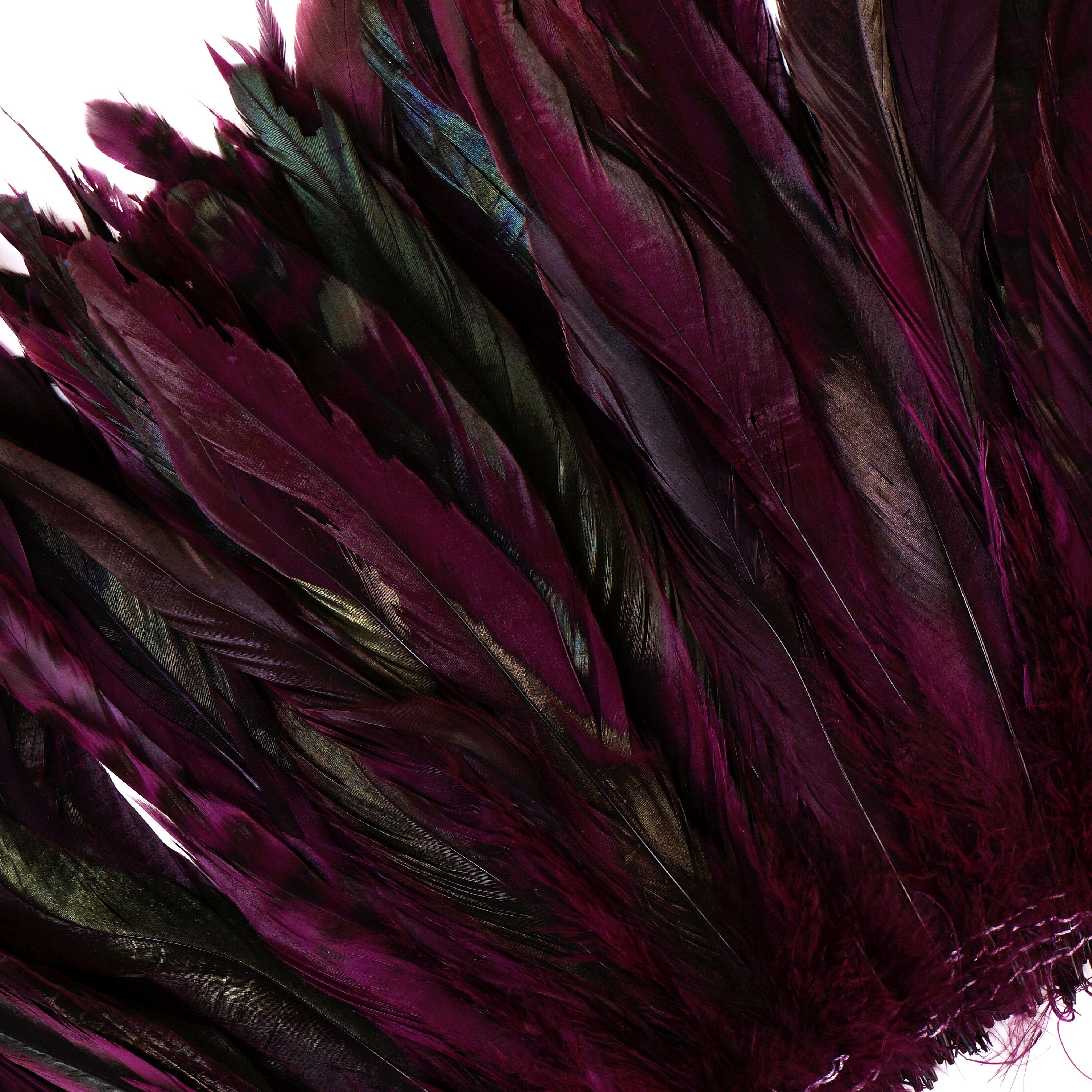 Purple Chinchilla Rooster Feathers, 810 Long Barred Rooster Feathers