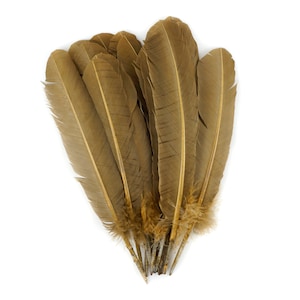Plumas Turquía salvaje, natural Barred Quills 8-12” teñido candente por Sombrerería, colectores ideales, artes manuales, Decoraciones