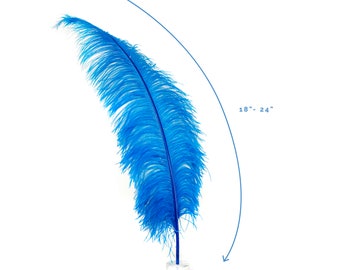 Ostrich Feathers, Dark Turquoise Ostrich Feather Spads 18-24", Centerpiece Floral Supplies, Carnival & Costume Feathers ZUCKER®