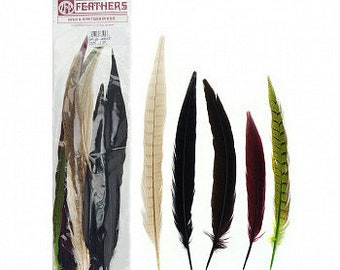Dyed Ringneck and Golden Pheasant Tail Feathers 25pc/pkg, 8-14" HARVEST Assorted Colors for Millinery, Home Decor Thanksgiving Decor ZUCKER®