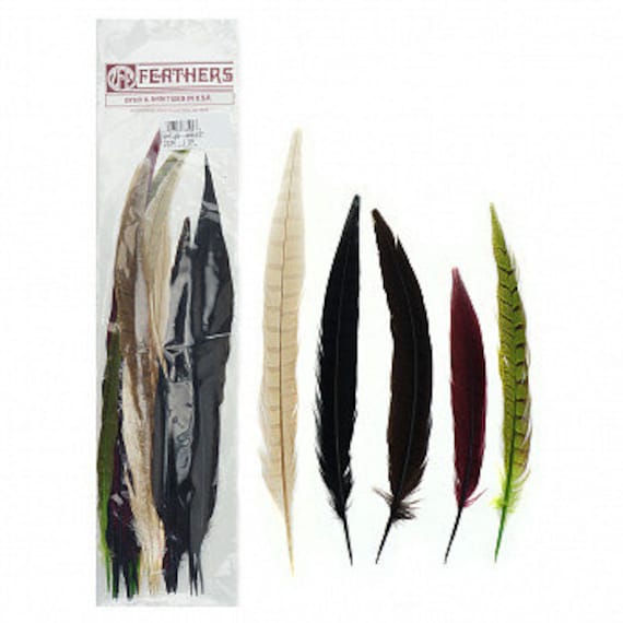 Plumas De Faisán Naturales - Pack De 10 Unidades, 25-30 Cm, Ideales Para Manualidades, Disfraces Y Decoración