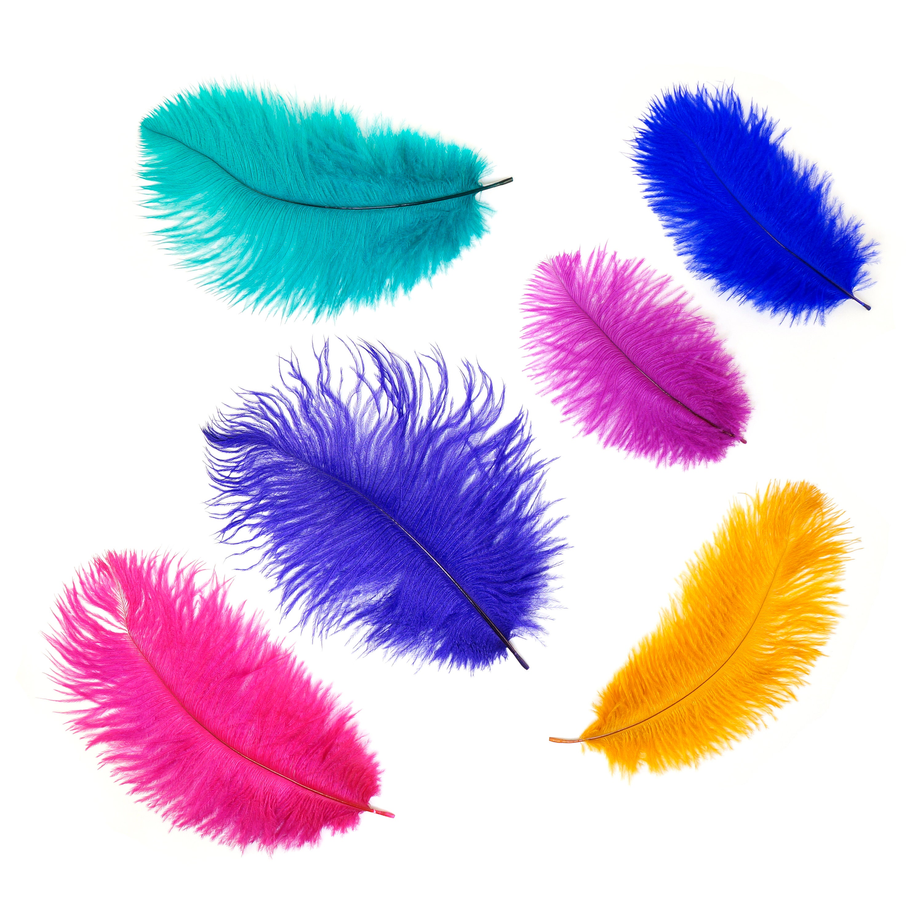 Blue Feathers, 20 Pieces 12-18 Royal Blue Mini Ostrich Spads Chick