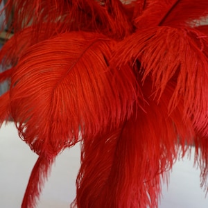Ostrich Feathers 17-20&quot; RED, 1 to 25 pcs, Ostrich Plumes, Carnival Samba, Ostrich Drab, Mardi Gras, Centerpieces, Feather Fan, ZUCKER® USA