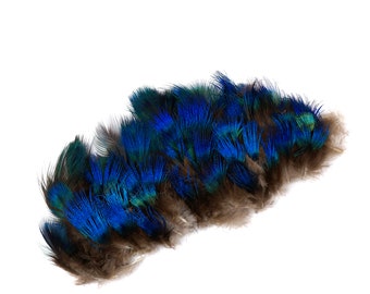 Small Peacock Feathers, Natural Blue Peacock Plumage, Loose Peacock Plumage Feathers, Small Blue Peacock Plumage for Arts and Craft ZUCKER®