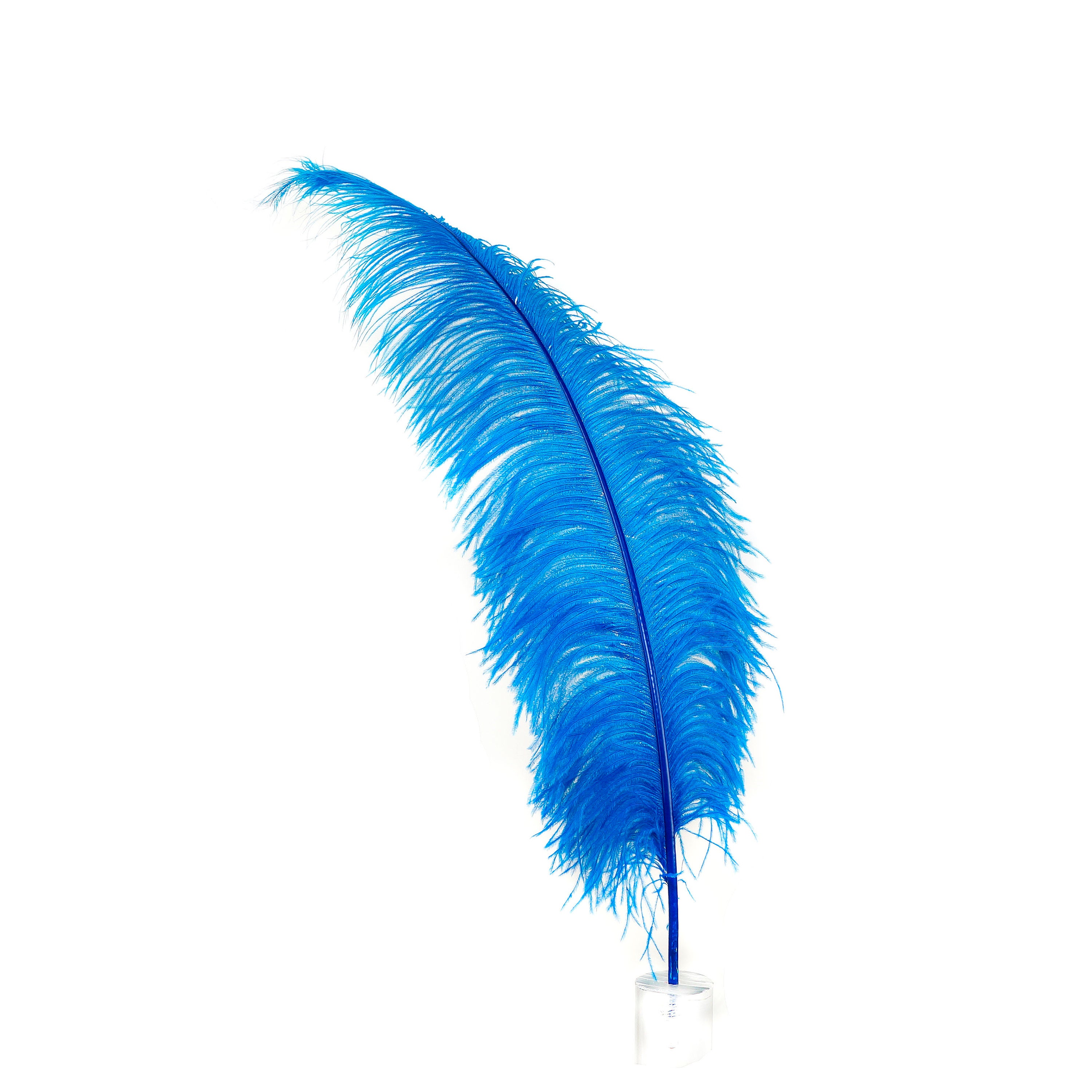 Dark Turquoise Ostrich Feathers, 18-24