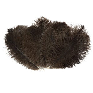 Ostrich Feathers 9-12&quot; NATURAL, Ostrich Drabs, Centerpiece Floral Supplies, Carnival & Costume Feathers ZUCKER®Dyed and Sanitized USA
