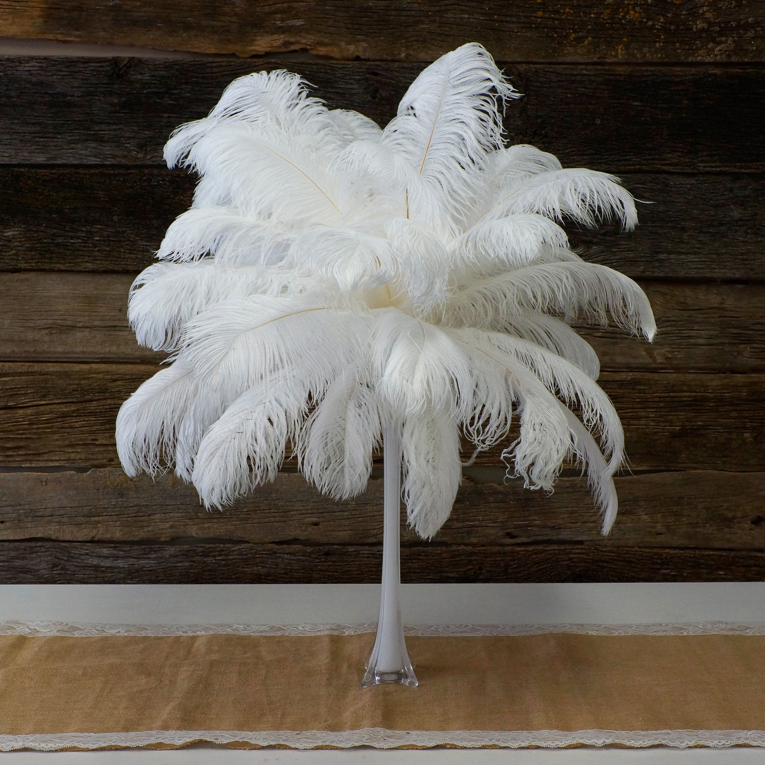 Ostrich Feathers 1720 WHITE, 1 to 25 pcs, Ostrich Plumes, Carnival