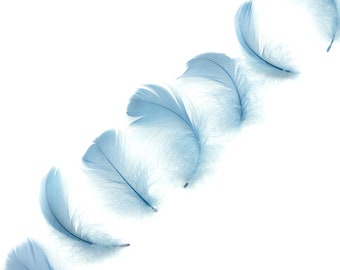 Goose Coquille Feathers, 3-5" Country Blue Loose Goose Feathers, Small Feathers, Arts and Craft Supplies ZUCKER®