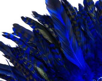 Gold Chinchilla Rooster Feathers, 8-10 Long Barred Rooster