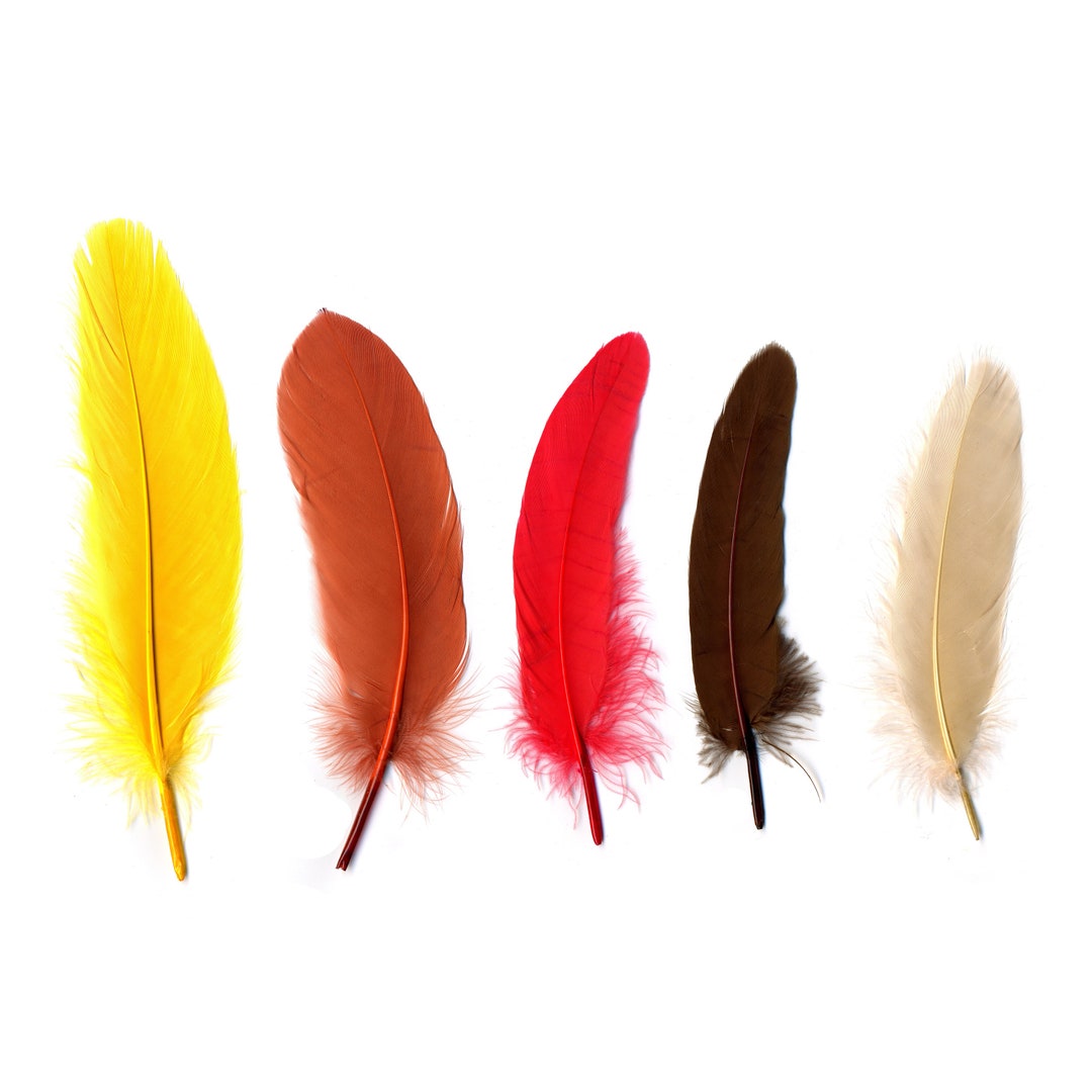 Goose Feathers, 1 Pack Brown Goose Satinettes Loose Wing Quill Feathers 0.3  Oz. Halloween Craft Costume : 3778 