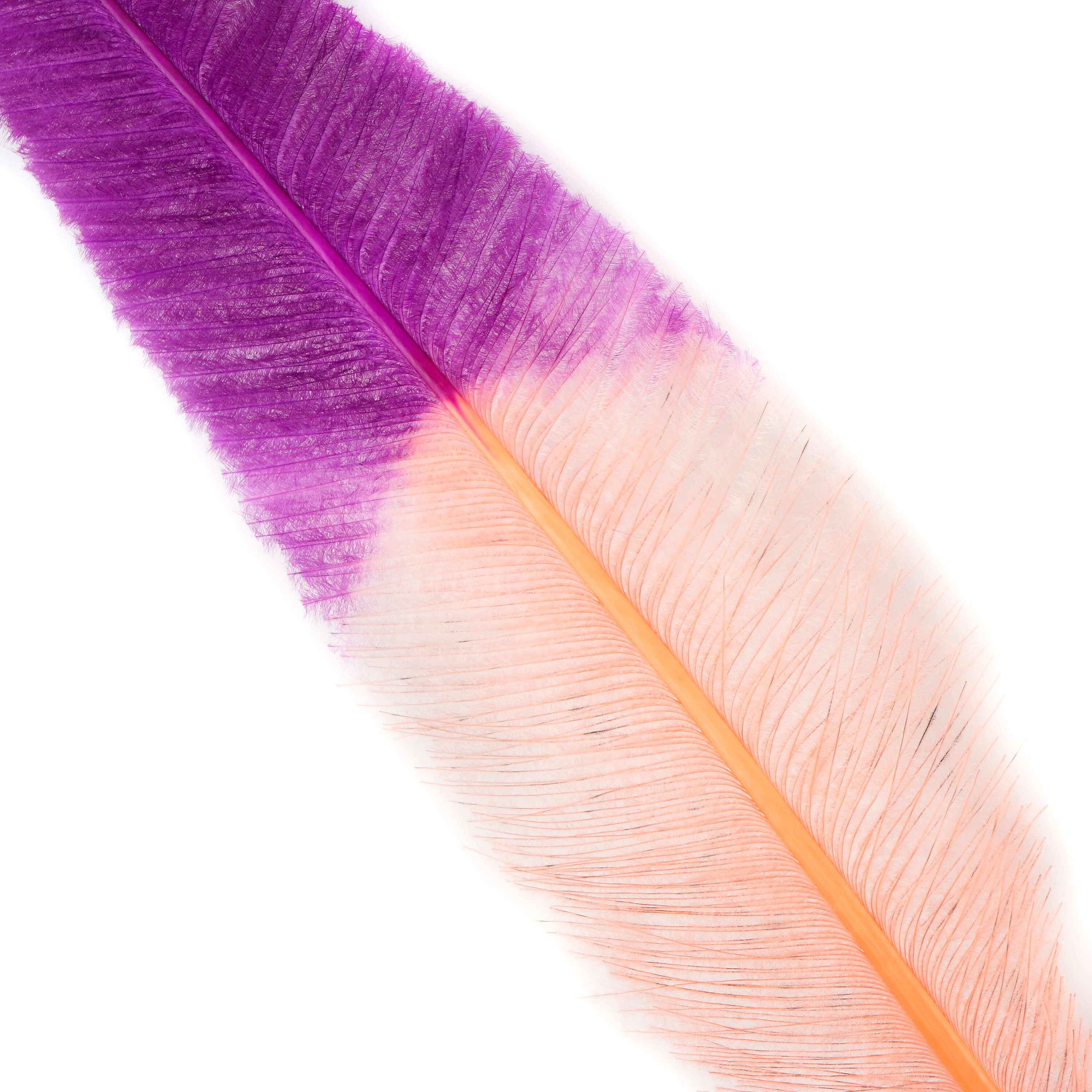 Blush and Purple Tipped Ostrich Nandu Feathers, Ostrich Feather Nandus
