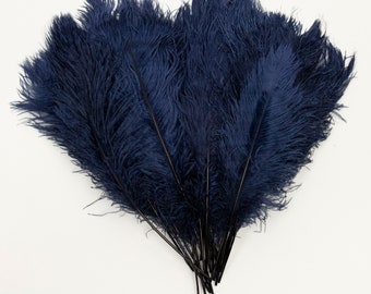 Ostrich Feathers