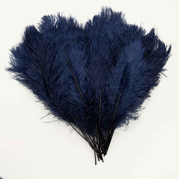 Navy Ostrich Feather Tips 16 18 Ostrich Tails 30 Pieces for