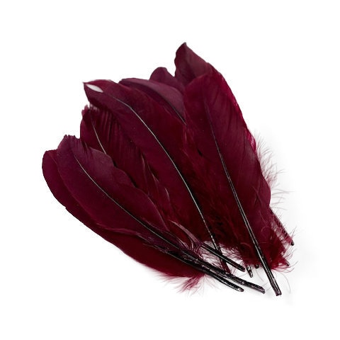 Burgundy Goose Nagoire Loose Feathers for Sale | Buy Goose Feathers Online