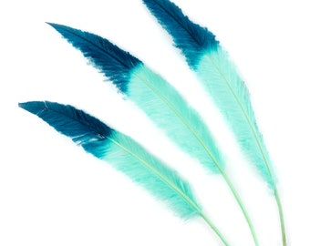 Mint and Peacock Blue Tipped Ostrich Nandu Feathers, Ostrich Feather Nandus 13-24" 3 Pieces for Carnival & Costume Feathers ZUCKER®
