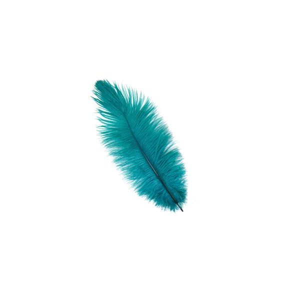 10 Turquoise Ostrich Tail Large Feathers Centerpiece Halloween Costume 12-16/"