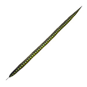 May include: A single, long feather with a black and yellow pattern. The feather has a dark, thin stem and a series of yellow and black segments along its length. The feather tapers to a fine point.