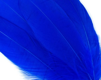 Goose Feathers, 6-8" Loose Goose Pallet Feathers ROYAL BLUE  -  Arts and Craft Supplies ZUCKER®