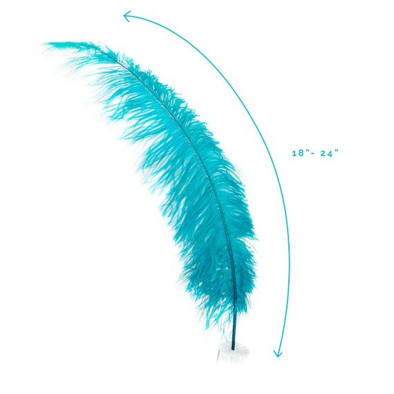 Ostrich Feathers Dark Aqua Ostrich Feather Spads 18 24 Centerpiece Floral Supplies Carnival Costume Feathers ZUCKER Etsy UK