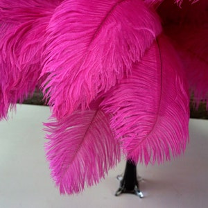 Ostrich Feathers 17-20" Shocking PINK, 1 to 25 pcs, Ostrich Plumes, Carnival Samba, Ostrich Drab, Mardi Gras, Centerpieces, Fans ZUCKER® USA