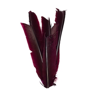 Burgundy Cut Turkey Pointers 8-12&quot; Dyed 6pcs, Turkey Pointer Quills for Costume, Carnival, Halloween, Cosplay and DIY Arts & Crafts ZUCKER®