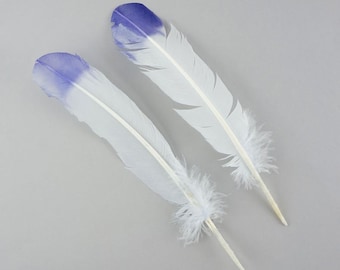 Turkey Quill Tipped Feathers 10 - 12" - Violet/Regal 2 pieces For Cultural Arts and Crafts, Carnival and Costume Design ZUCKER®