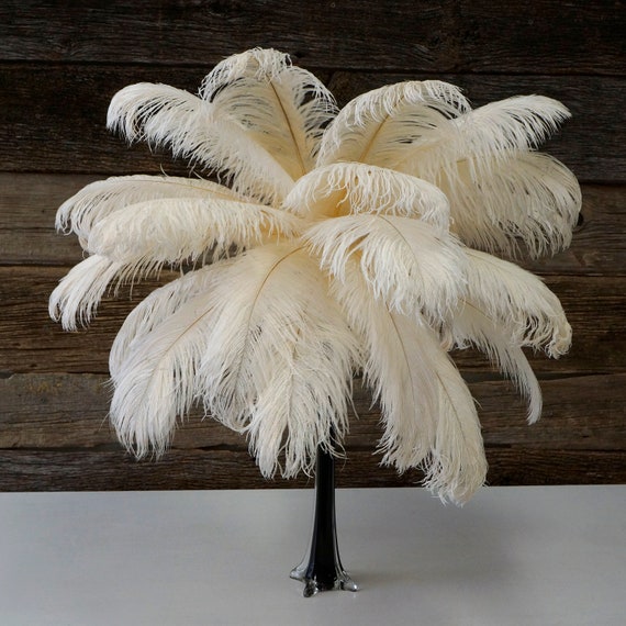 10Pcs/Lot 50-55cm Ostrich Feathers for Crafts Table Centerpieces Handicraft  Accessories Feather for Vases Natural Carnival Plume