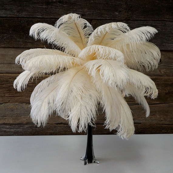 White Ostrich Feathers Accessories For Pre wedding - Temu