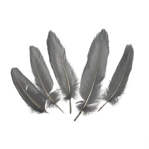 Goose Satinette Feathers, 4-6&quot; Silver Grey Loose Goose Feathers, Small Feathers, Art and Craft Supplies ZUCKER®