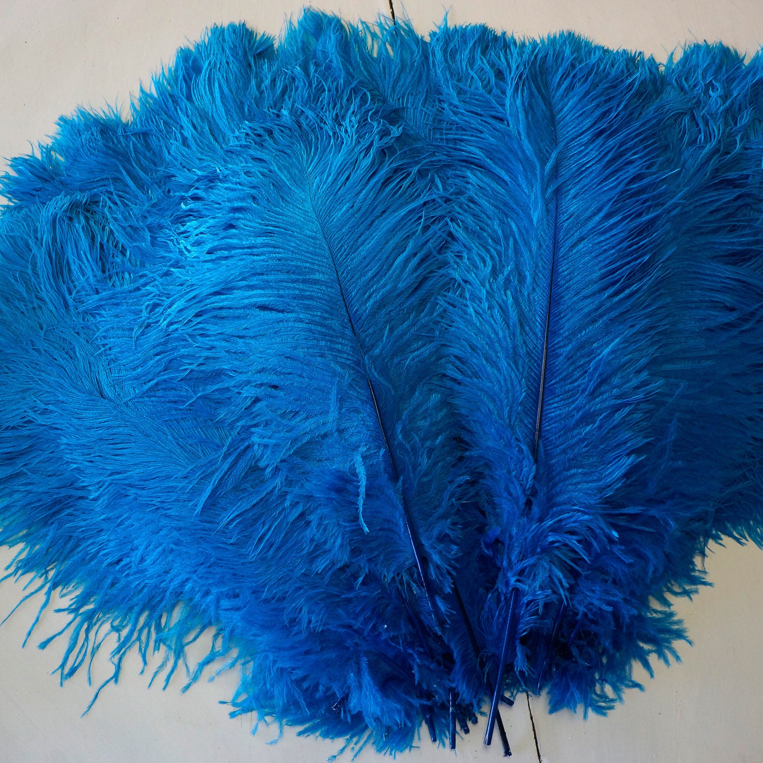 Ostrich Feathers 17-20 Dark TURQUOISE, 1 to 25 pc, Ostrich Plumes ...