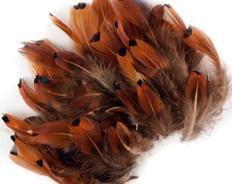 Pheasant Feathers, Natural Heart Pheasant Plumage, Loose Short Natural Feathers for DIY Jewelry, Crafting & Fly Tying  ZUCKER®