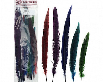 GEM 8-14" Dyed Ringneck and Golden Pheasant Tail Feathers 25pc/pkg - Assorted Colors for Millinery, Carnival and Cultural Arts ZUCKER®
