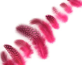 Guinea Feathers, Dyed Pink Orient 1-4” Guinea Hen Polka Dot Loose Plumage Feathers & Craft Supply ZUCKER®