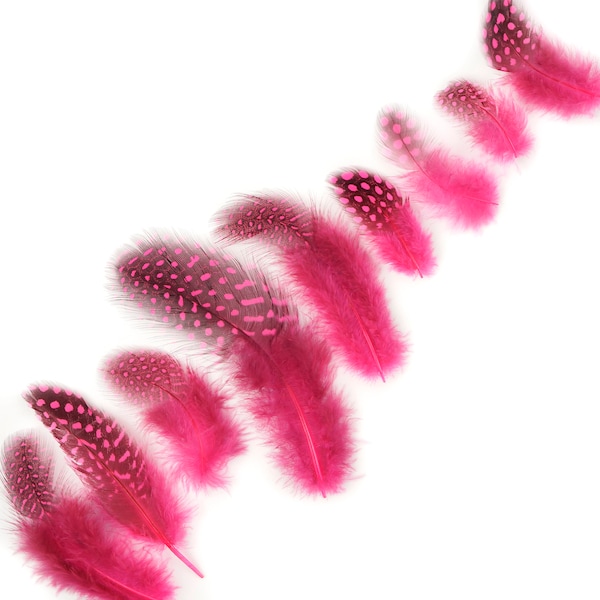 Guinea Feathers, Dyed Pink Orient 1-4” Guinea Hen Polka Dot Loose Plumage Feathers & Craft Supply ZUCKER®