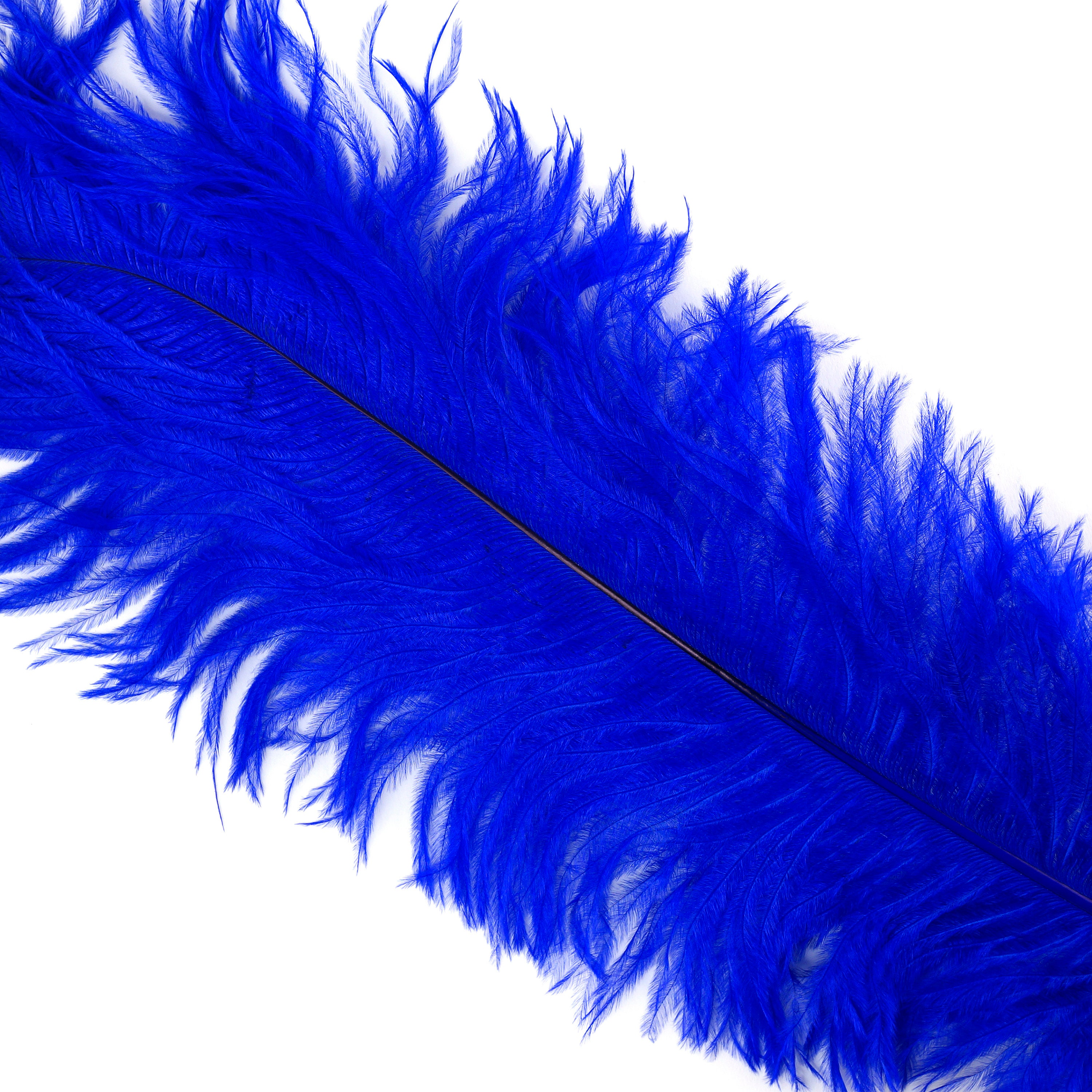Ostrich Feathers, Royal Blue Ostrich Feather Spads 1824, Centerpiece