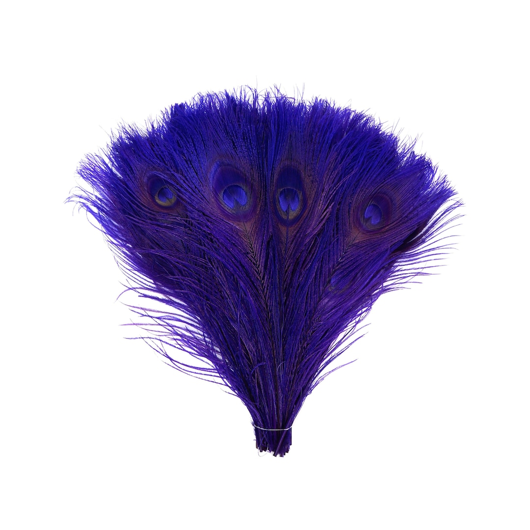 Peacock Sword Bleach Dyed Regal Purple Feathers
