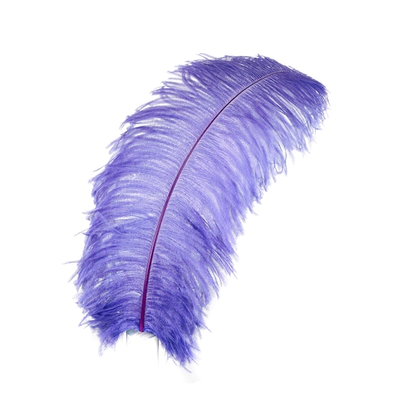 SOLD OUT! Premium Grade 1 Pure White Ostrich Feather Plumes - 24 Long x  8-10 Wide!