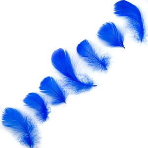 Goose Coquille Feathers, 3-5&quot; Royal Blue Loose Goose Feathers, Small Feathers, Arts and Craft Supplies ZUCKER®