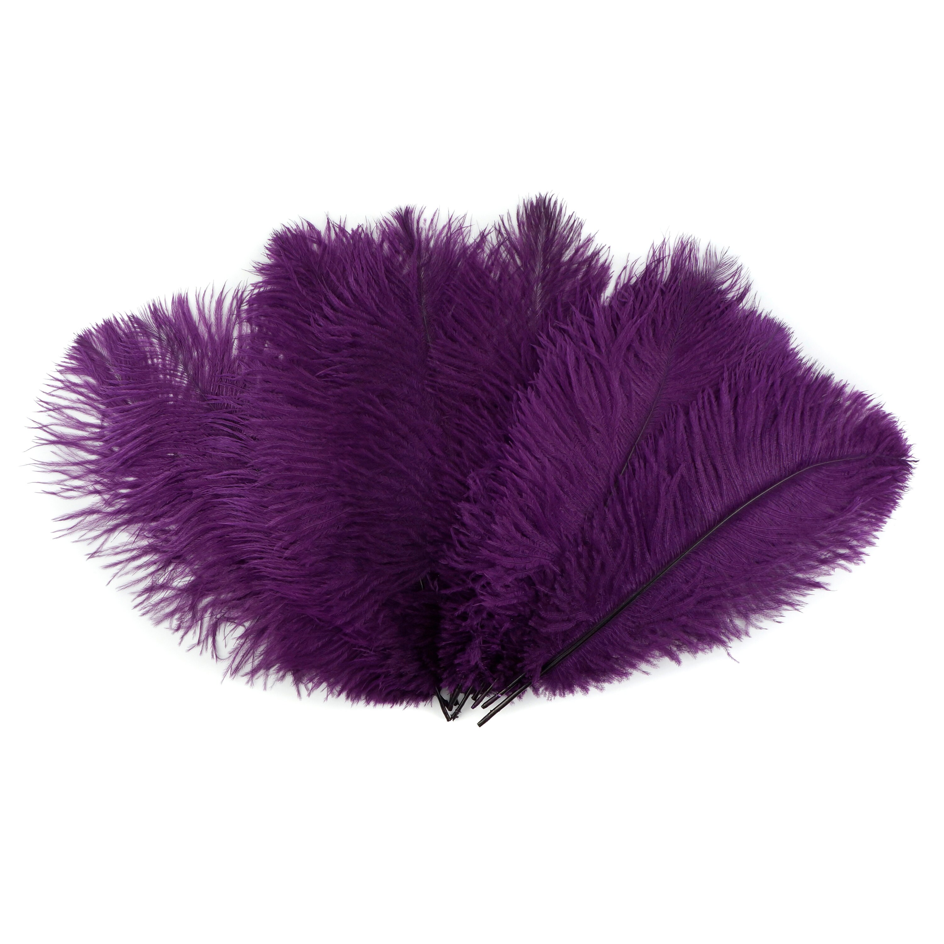 Ostrich Feather Tail Plumes 13-16 (Purple) for Sale Online