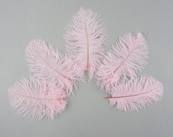 Bulk Ostrich Feathers 4-8" Light Candy PINK, Mini Ostrich Drabs, Bouquets, Boutonnieres, Small Centerpieces ZUCKER® Dyed and Sanitized USA