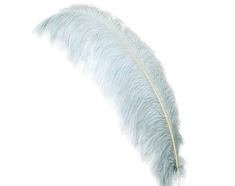 X-Large Ostrich Feathers 24-30", 1 to 25 Pieces, SILVER Grey, For Wedding Centerpieces, Party Decor, Millinery, Carnival, Costume ZUCKER®