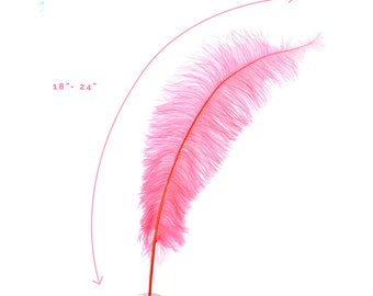 Ostrich Feathers, Coral Ostrich Feather Spads 18-24", Centerpiece Floral Supplies, Carnival & Costume Feathers ZUCKER®