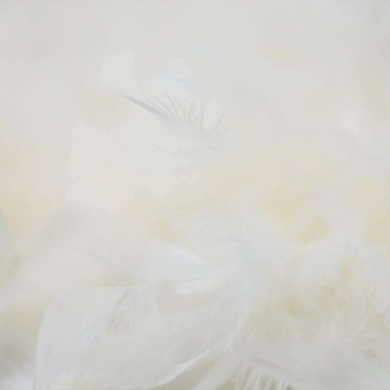 Halloween Dancing Ivory 2 Yards For Party Favors Costume ZUCKER\u00ae 60 Gram Chandelle Feather Boa Wedding Kids Craft /& Dress Up