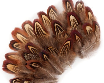 Pheasant Feathers, Natural Almond Pheasant Plumage, Loose Short Natural Feathers for DIY Jewelry, Crafting & Fly Tying  ZUCKER®
